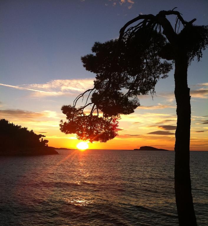 Epidaurum Apartments Cavtat Værelse billede